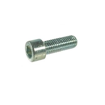  Imbusbout - zilver - M6 x 25 - per stuk