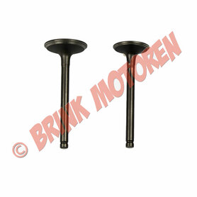 Jinling loncin 250cc JLA 21B inlaatklep en uitlaatklep